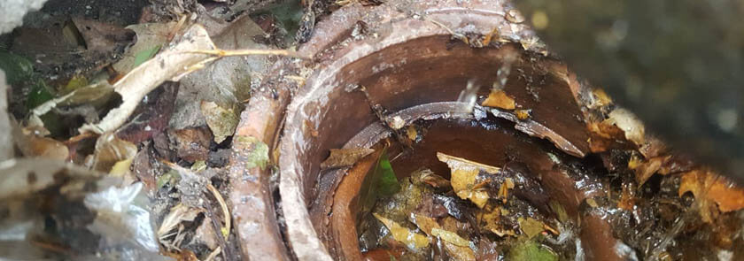 a blocked drainpipe full of leaves and debris